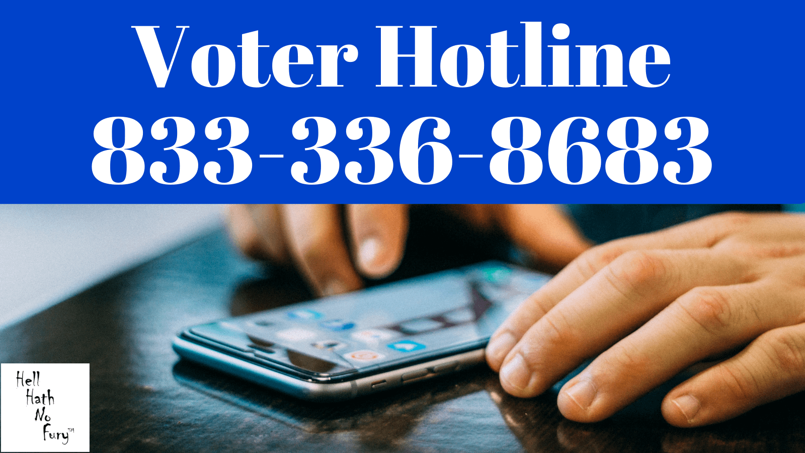 Voter Hotline 833-336-8683