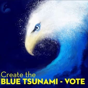 Create the Blue Tsunami - VOTE